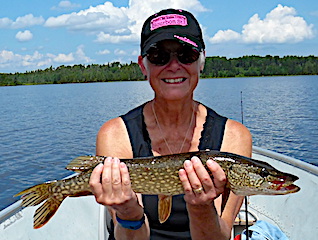 Catching Loads of Northern Pike Fishing with Family at Fireside Lodge in Canada  